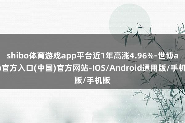 shibo体育游戏app平台近1年高涨4.96%-世博app官方入口(中国)官方网站-IOS/Android通用版/手机版