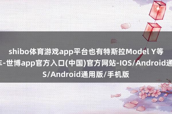 shibo体育游戏app平台也有特斯拉Model Y等非中国电动车-世博app官方入口(中国)官方网站-IOS/Android通用版/手机版