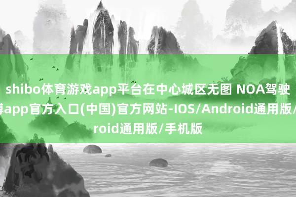 shibo体育游戏app平台在中心城区无图 NOA驾驶中-世博app官方入口(中国)官方网站-IOS/Android通用版/手机版