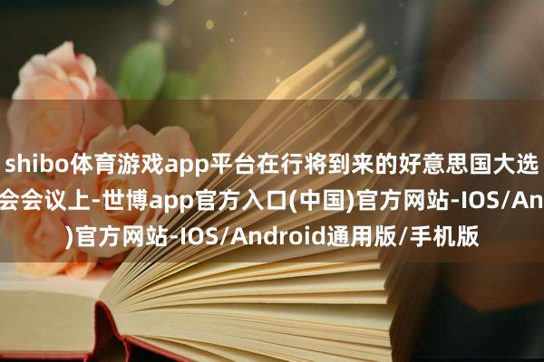 shibo体育游戏app平台在行将到来的好意思国大选及国内东谈主大常委会会议上-世博app官方入口(中国)官方网站-IOS/Android通用版/手机版