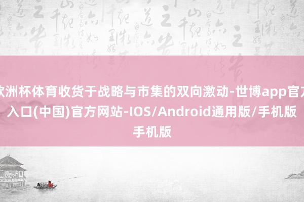 欧洲杯体育收货于战略与市集的双向激动-世博app官方入口(中国)官方网站-IOS/Android通用版/手机版