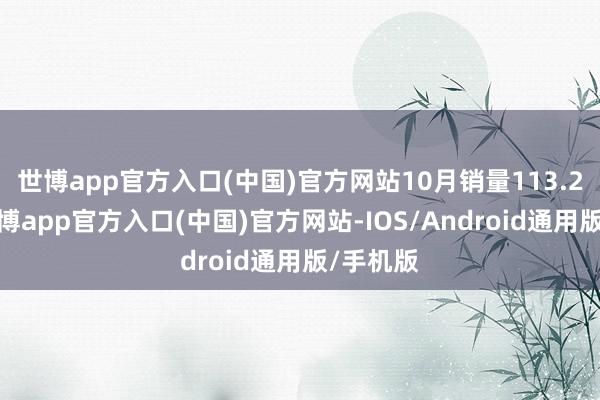 世博app官方入口(中国)官方网站10月销量113.2万辆-世博app官方入口(中国)官方网站-IOS/Android通用版/手机版