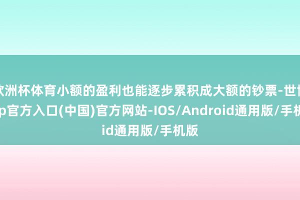 欧洲杯体育小额的盈利也能逐步累积成大额的钞票-世博app官方入口(中国)官方网站-IOS/Android通用版/手机版