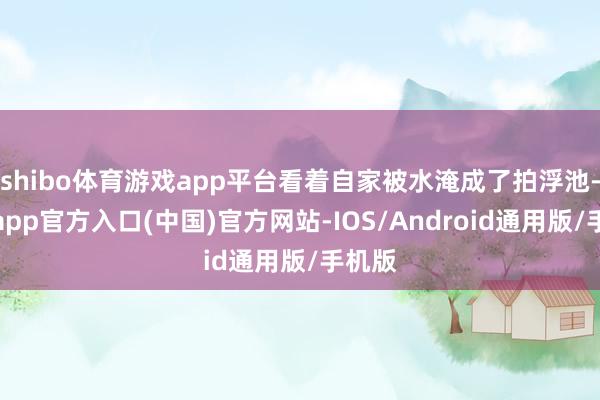 shibo体育游戏app平台看着自家被水淹成了拍浮池-世博app官方入口(中国)官方网站-IOS/Android通用版/手机版