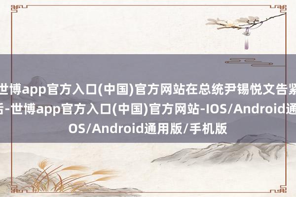 世博app官方入口(中国)官方网站在总统尹锡悦文告紧要戒严令之后-世博app官方入口(中国)官方网站-IOS/Android通用版/手机版