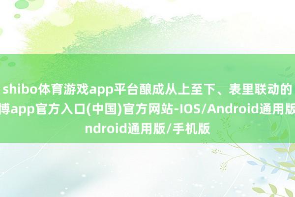 shibo体育游戏app平台酿成从上至下、表里联动的态势-世博app官方入口(中国)官方网站-IOS/Android通用版/手机版