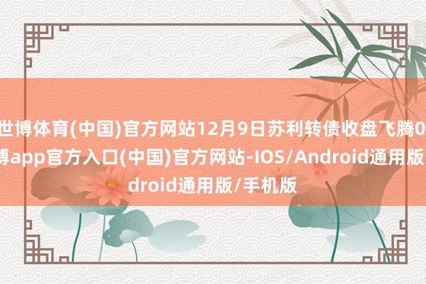 世博体育(中国)官方网站12月9日苏利转债收盘飞腾0.5%-世博app官方入口(中国)官方网站-IOS/Android通用版/手机版