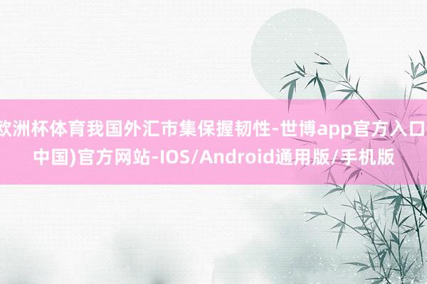 欧洲杯体育我国外汇市集保握韧性-世博app官方入口(中国)官方网站-IOS/Android通用版/手机版